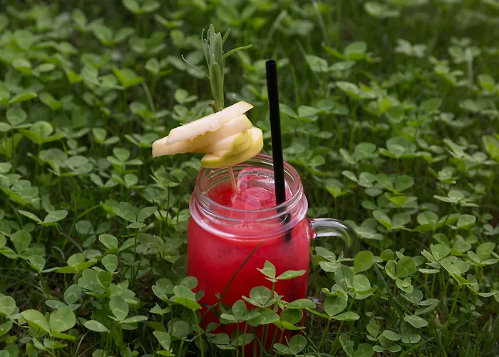 Palazzo Castri 1874 & Garden 酒店 佛罗伦萨